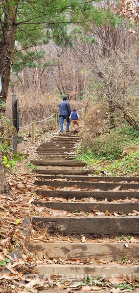 (사진:글로벌뉴스통신 남기재 해설위원)아빠와 함께 오르는 산책길