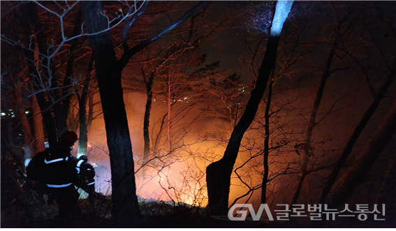 (사진제공:산림청) 야간 산불 진화