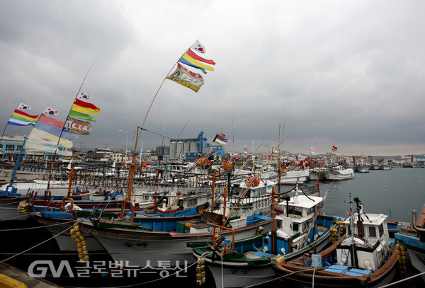 (사진: 글로벌뉴스통신 김성곤기자) 한림항 폭풍의 전야 잠시 쉬어가기 위해 크고 작은 배들이 한림항으로 들어와 정박하고 있다.