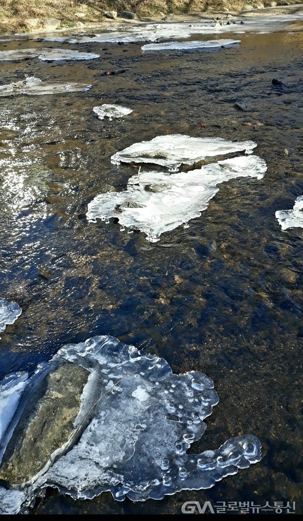 (사진제공 : FKILsc 조흠원 명예자문위원) 반투명 얼음장 밑으로 쟁강거리는 물소리 마저 투명하게 들린다