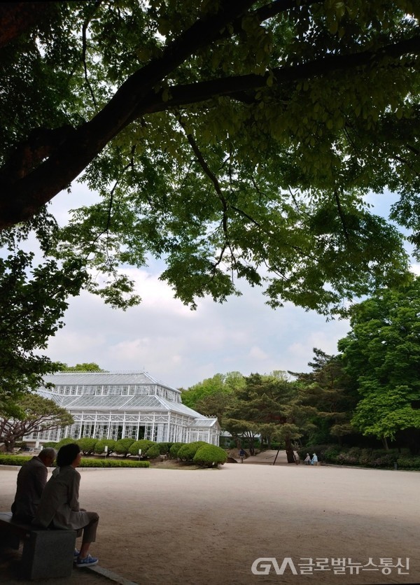 (사진제공: 이노종FKILsc명예자문위원) 5월, 창경궁의 신록 - '신당대'에 자리잡은 우리나라 현대식 식물원이 보이는 주변