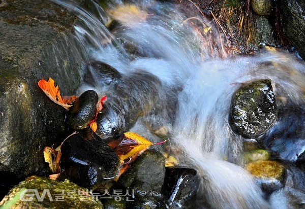 (사진제공: 김강수 Photo YouTuber) 이끼 낀 계곡에 가을 빛 맑은 물이 흐르는 남산의 가을색
