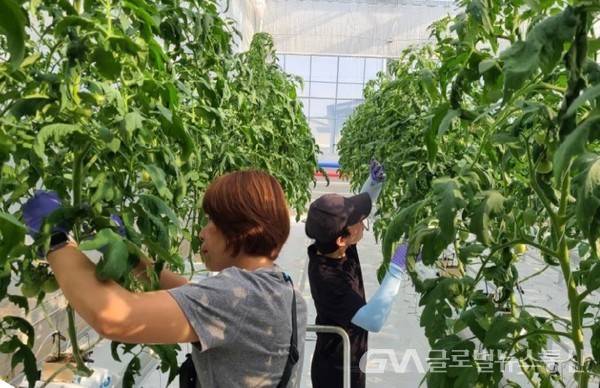 (사진:경북) 예천 스마트팜테스트베드 농업인 교육