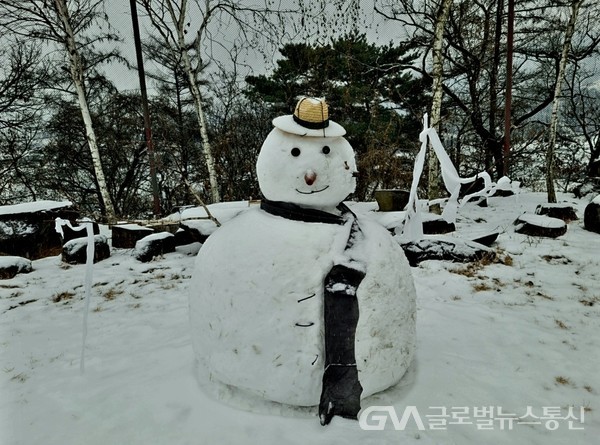 (사진제공 : 김민응(주)대림엠티아이 회장) 눈 치우기 힘들다 하면서 어느사이 큼지막한 눈사람을 세워 놓았다.