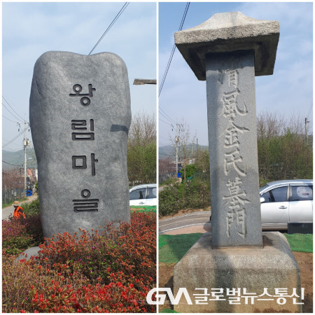 (사진 : 김상철 총무) 왕림마을 과 청풍김씨 묘문 표지석 모습