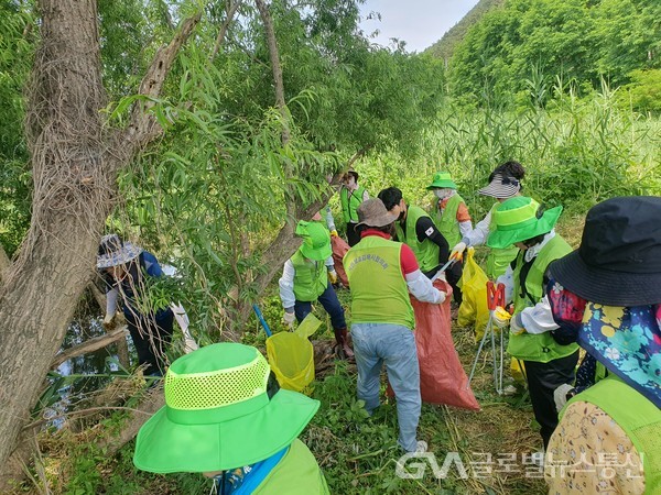 (사진제공:김해시) 환경단체  환경의 날 기념 환경정화활동