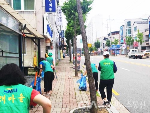 (사진제공:안동시) 강남동 부녀회 환경정화 활동 실시