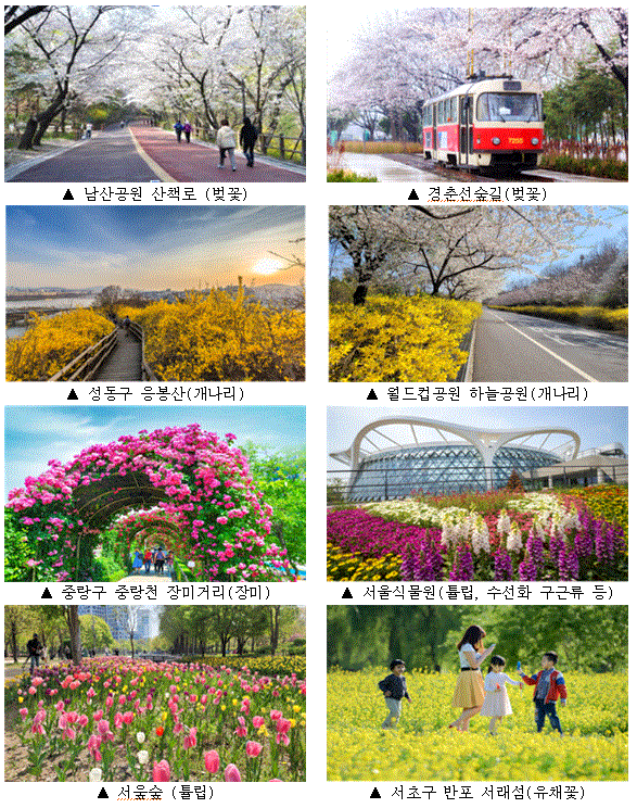 (사진제공: 서울시)서울의 주요 봄 꽃길 사진