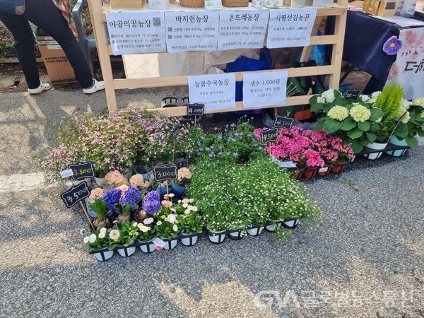 (사진제공:바지런농장 박미진 대표) (포토)김제 꽃빛드리축제 이모저모