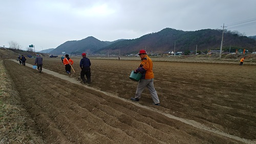 (사진제공:안동포정보화마을) 3월 밭에 씨를 경작하는 모습