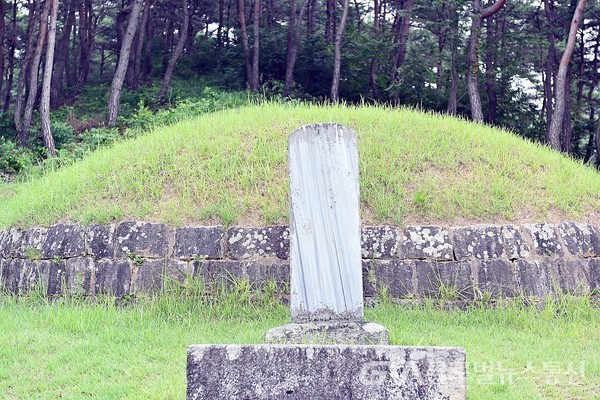 (사진:글로벌뉴스통신 권오헌 기자)전남 장성군에 위치한 박수량 선생의 묘와 백비.