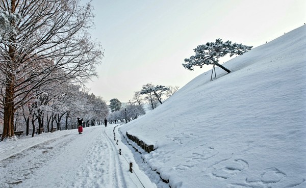 (사진제공: FKILsc 백명원 자문위원 )순백의 몽촌토성 산책로 2 