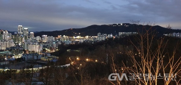 (사진: 남기재 글로벌뉴스통신 해설위원장) 영롱한 우면산의 밤