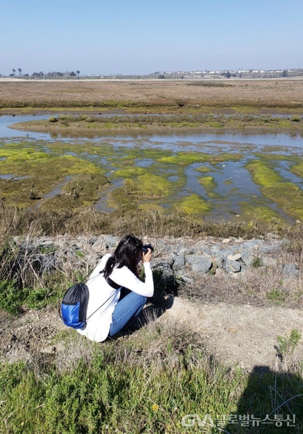 (사진: Seal beach 주재 Jane Nam 제공) 광활한"Wetland"의 활기찬 봄을 지켜 보는 이 에게도 가슴을 시원스럽게 한다.
