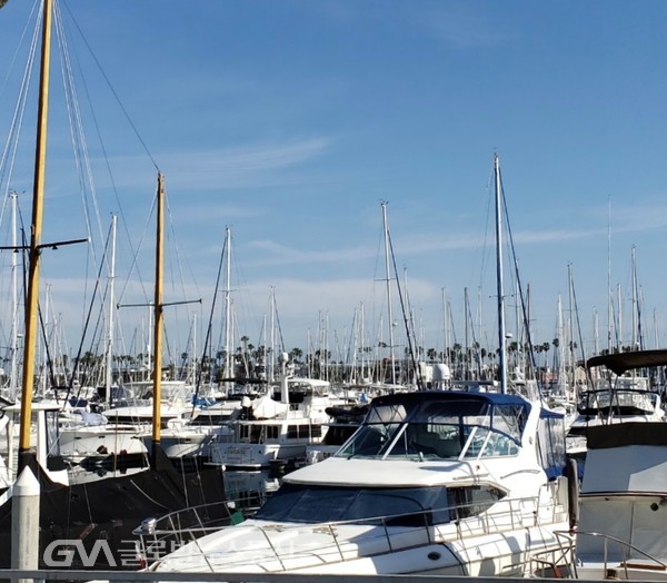 (사진제공: Seal Beach주재 Jane Nam) 봄철 출항 준비를 서두르는 Long Beach Alamitos Bay의 Marina port를 빽빽히 채운 레저용 요트들