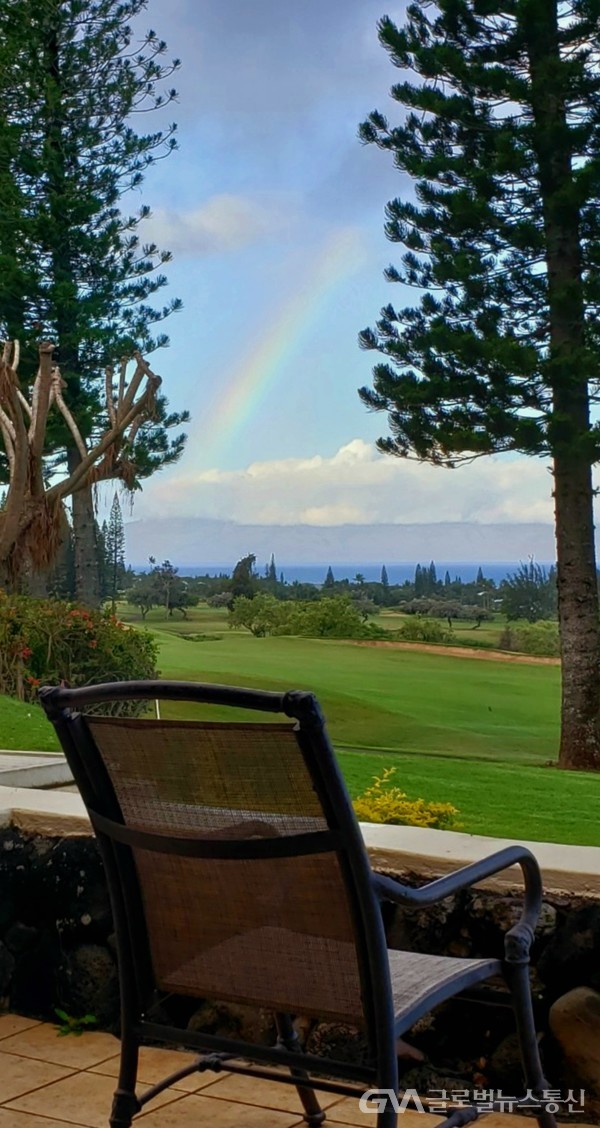 (사진 : Jane Nam제공) Maui 풍경-2- 비 그친듯한 순간 나타난 쿡 소나무Cook Pine 사이에 뜬 무지개