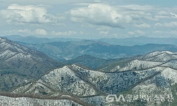 (사진: 장원갑, 前STX조선 부회장 제공) 온 산야에 내린 5월의 눈꽃