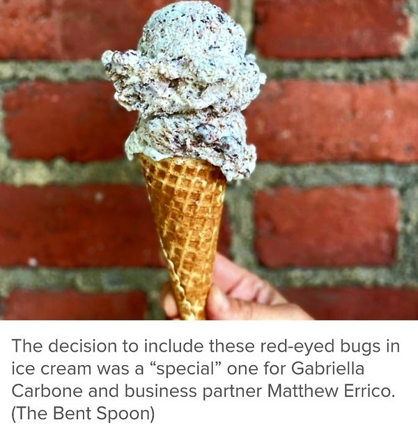 (사진출처:Bent Spoon 아이스크림 전문점 home page Capture) 인기만점 '벤트 스푼' 아이스크림 가게가 매미의 프로틴 분말을 넣어 만든 매미 모양의 쵸코렛 칩