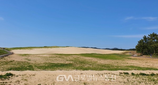 (사진제공:FKILsc 이종철 경영자문위원) 모래언덕에서는 변화무쌍한 바람무늬를 볼 수 있다.