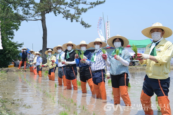 (사진제공:영천시)영천시 농민회는 지난 6월9일 풍년농사 기원제 및 통일경작지 모내기 행사를 가졌다.