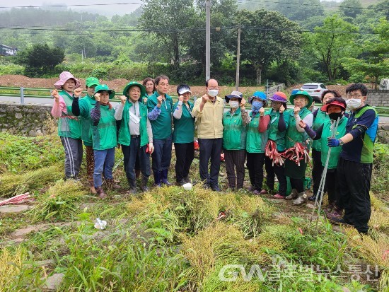 (사진제공:단양군청) 류한우 단양군수 새마을회 단양읍 노동리 갓 종자 수확 일손돕기 방문