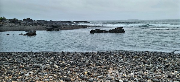 (사진제공:FKILsc신현대 경영자문위원)  쇠소깍의 '깍'을 지나면 바로 바다- 검은 화산석 자갈들이 펼쳐진 바닷가에 파도가 넘실댄다