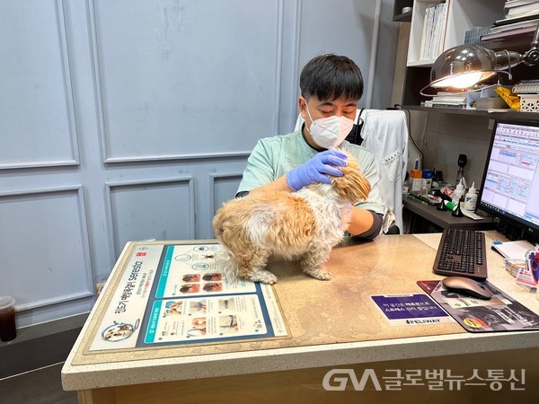 (사진제공:김해시) 저소득계층 반려동물 진료비 지원사업