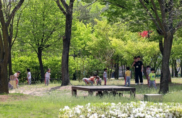 (사진:경주시) 경주엑스포대공원 화랑 숲으로 소풍을 온 어린이집 아동들이 놀이를 즐기고 있다