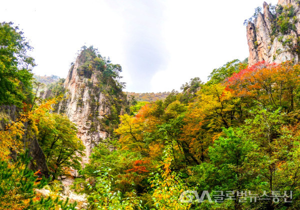   (사진 : 김연묵 사진작가) 설악산의 아름다운 비경 주전골 모습 