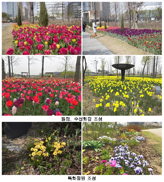 (사진제공: 서울시)서울식물원 봄 꽃 개화 사진